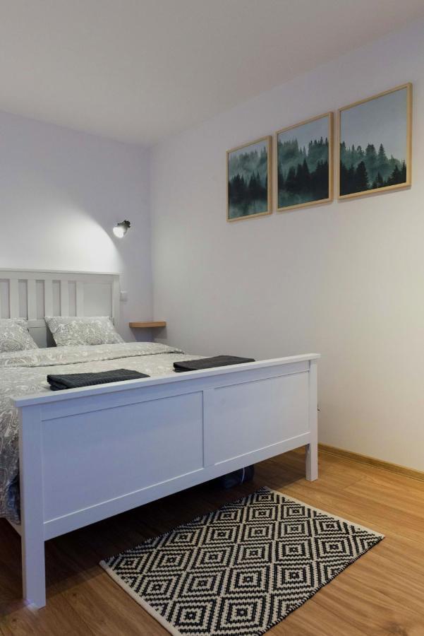 Apartament Szyszka Ustrzyki Dolne Extérieur photo